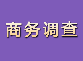 宁德找私家调查调查行踪要多少钱？全面了解费用结构与影响因素